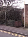 City Wall Survey