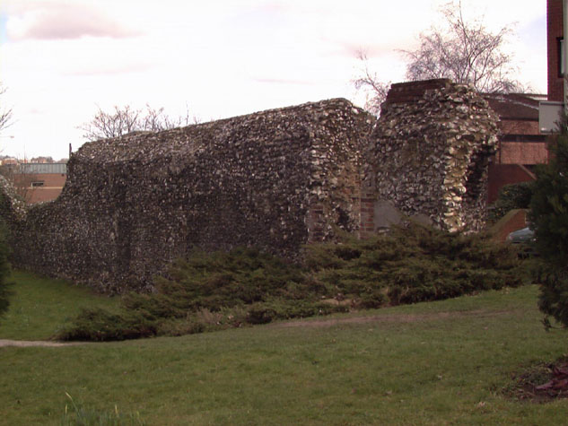 City Wall Survey