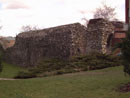 City Wall Survey
