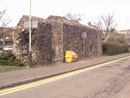 City Wall Survey