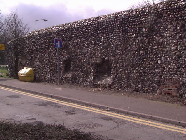 City Wall Survey