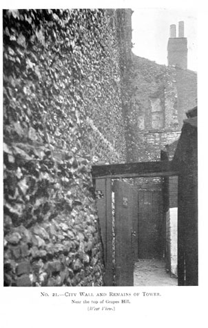 Photograph of the Grapes Hill wall