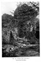 City Wall Survey
