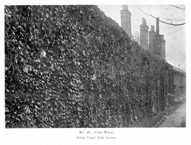 Photograph of the wall from the south east