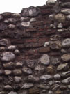City Wall Survey