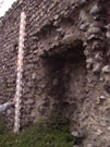 City Wall Survey