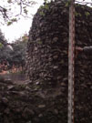 City Wall Survey
