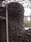 City Wall Survey
