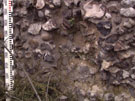 City Wall Survey