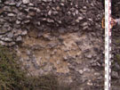 City Wall Survey