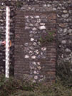 City Wall Survey