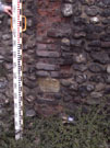City Wall Survey