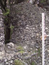 City Wall Survey