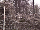 City Wall Survey