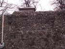 City Wall Survey