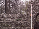 City Wall Survey