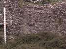 City Wall Survey
