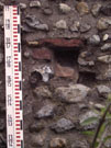 City Wall Survey