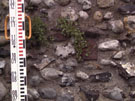 City Wall Survey