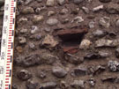 City Wall Survey