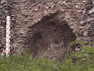 City Wall Survey
