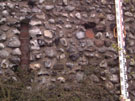 City Wall Survey