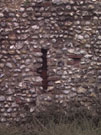 City Wall Survey