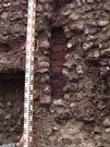 City Wall Survey