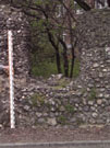 City Wall Survey
