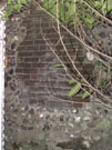 City Wall Survey