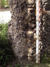 City Wall Survey