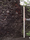 City Wall Survey