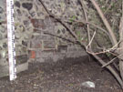City Wall Survey