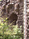 City Wall Survey
