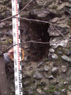 City Wall Survey