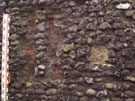 City Wall Survey