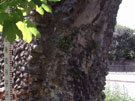 City Wall Survey
