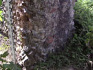 City Wall Survey