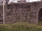 City Wall Survey