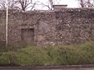 City Wall Survey