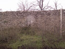 City Wall Survey