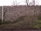 City Wall Survey