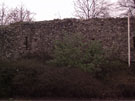 City Wall Survey