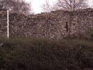 City Wall Survey