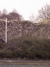 City Wall Survey