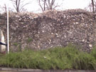 City Wall Survey