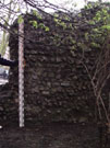 City Wall Survey