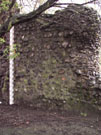 City Wall Survey