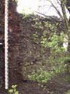 City Wall Survey