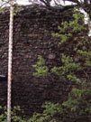 City Wall Survey